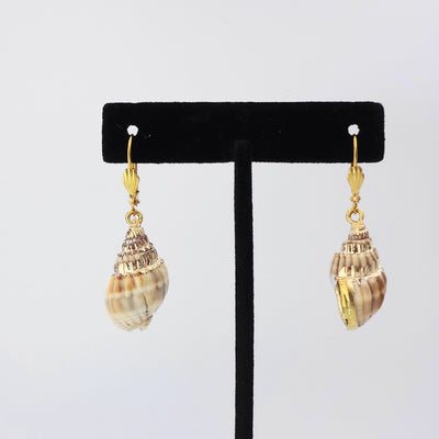 Natural Shell Earring