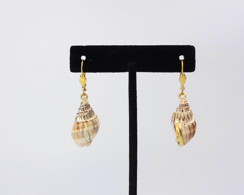 Natural Shell Earring