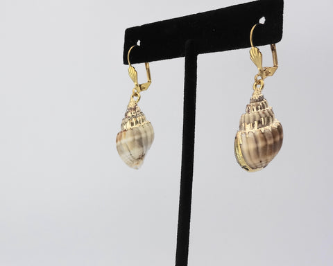 Natural Shell Earring