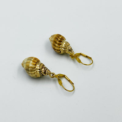 Natural Shell Earring